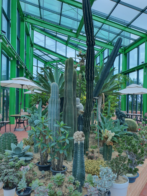 대부도 카페 추천