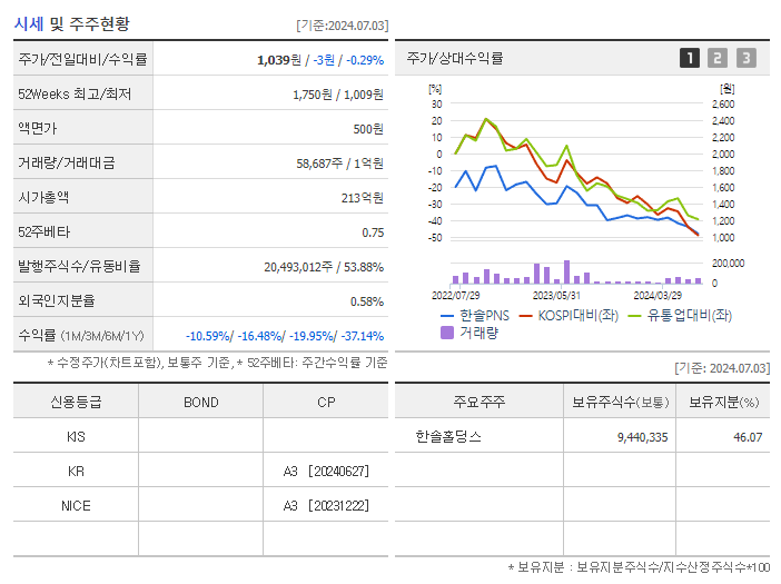 한솔PNS_기업개요