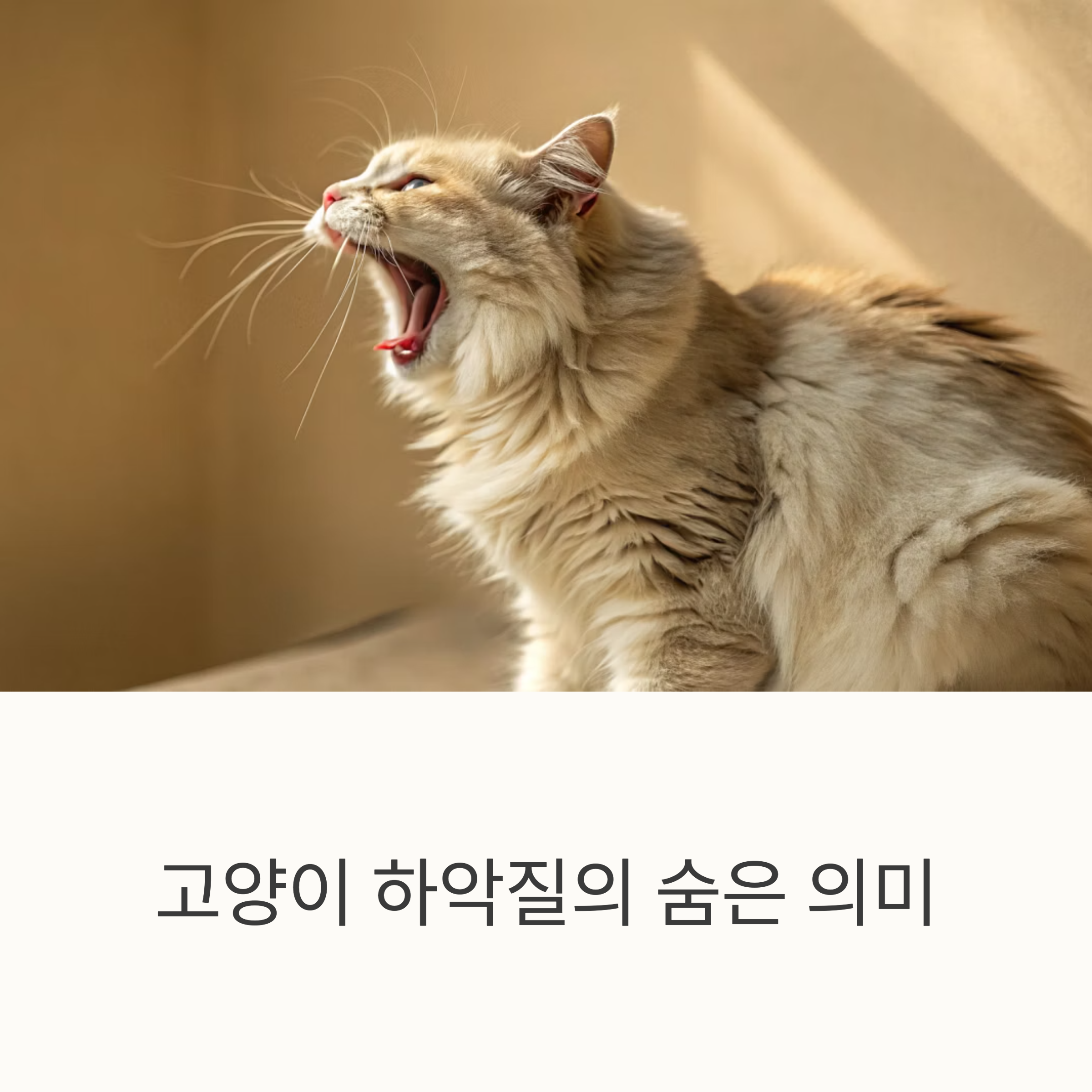 고양이 하악질의 숨은 의미