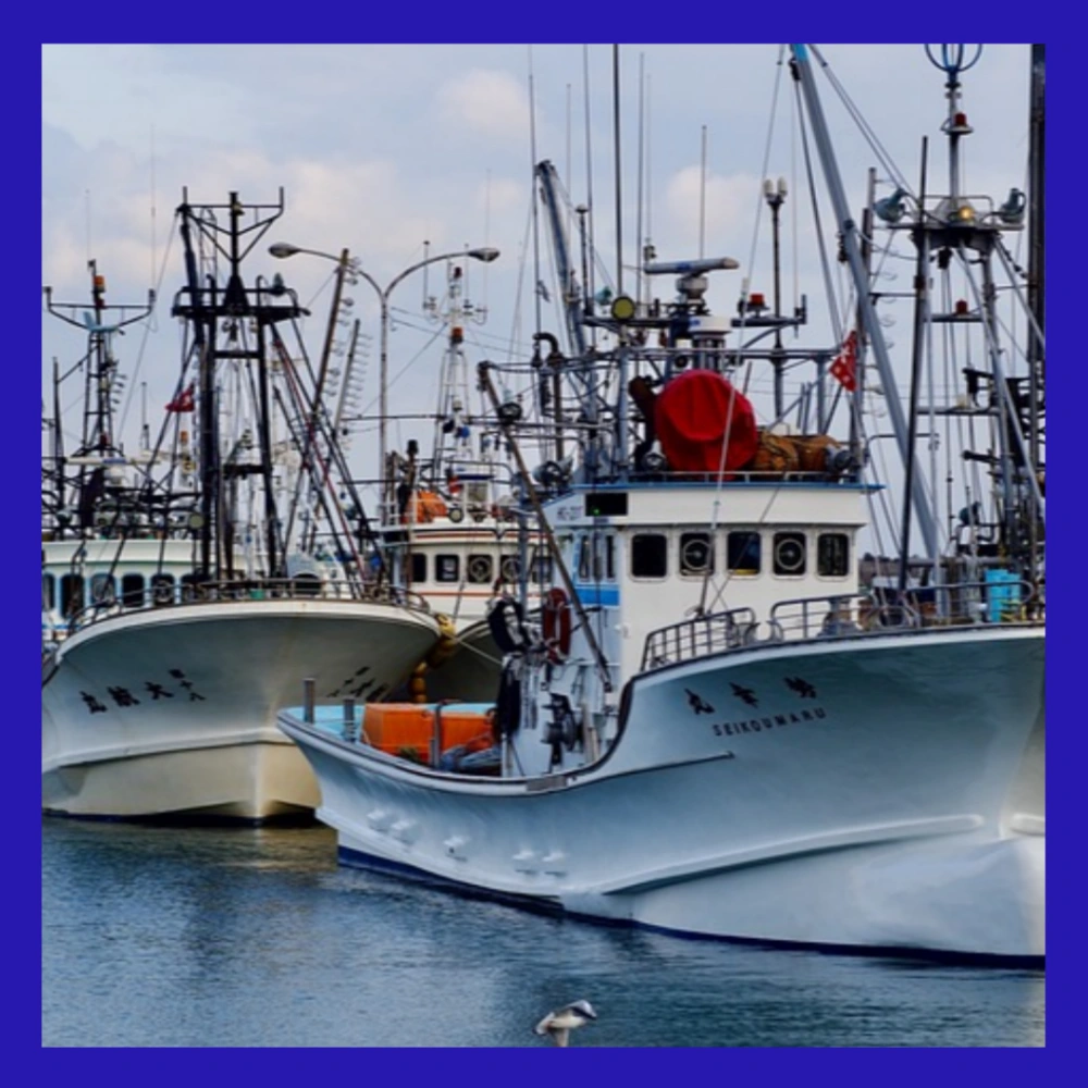 서귀포-어선-전복