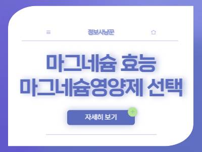 마그네슘 효능