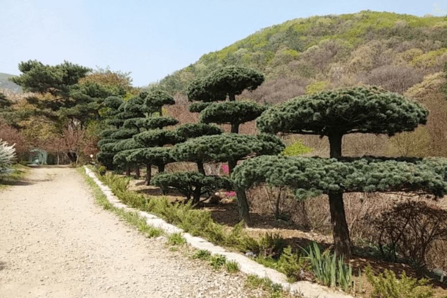 μ¨λ΄μλ¬Όμ-κ°€λ¬λ¦¬