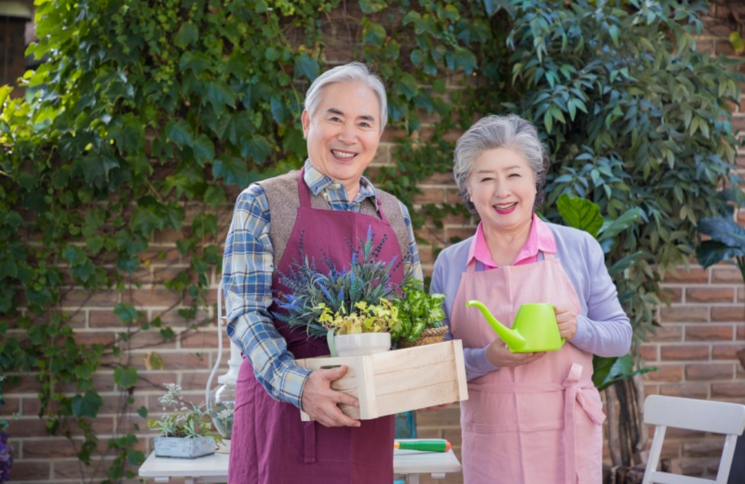 노부부가 웃으면서 식물에 물을 주고 있다.