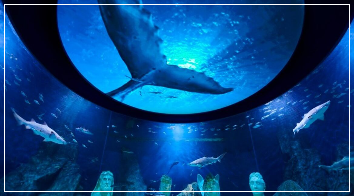 대전 가볼만한곳 베스트10 엑스포아쿠아리움