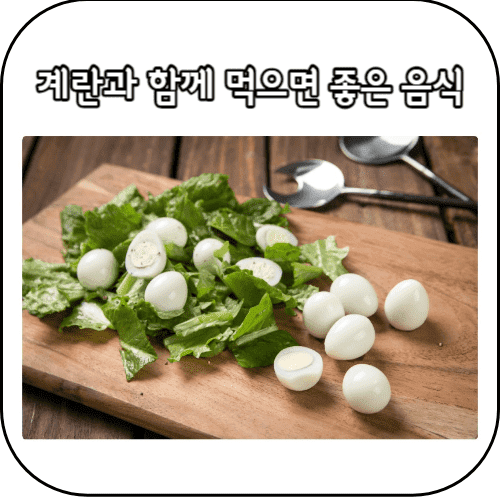 계란요리