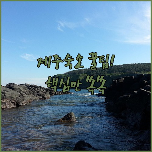 제주 시내 숙소 추천 TOP 5 위치..