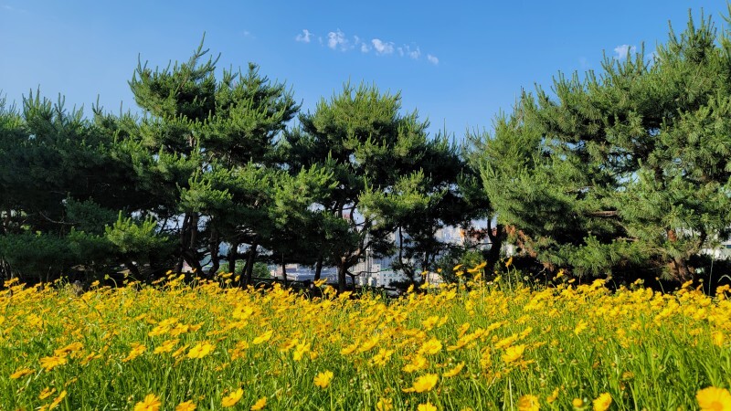 철산 배수지공원