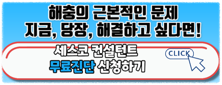 세스코 가정집 비용 아파트,원룸,투룸 가격 (셀프진단)