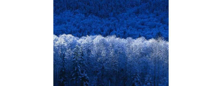 부산 금정구 현수막