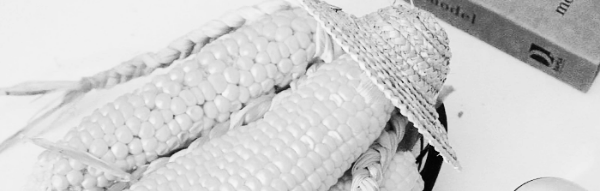 초당옥수수 먹는법 마무리