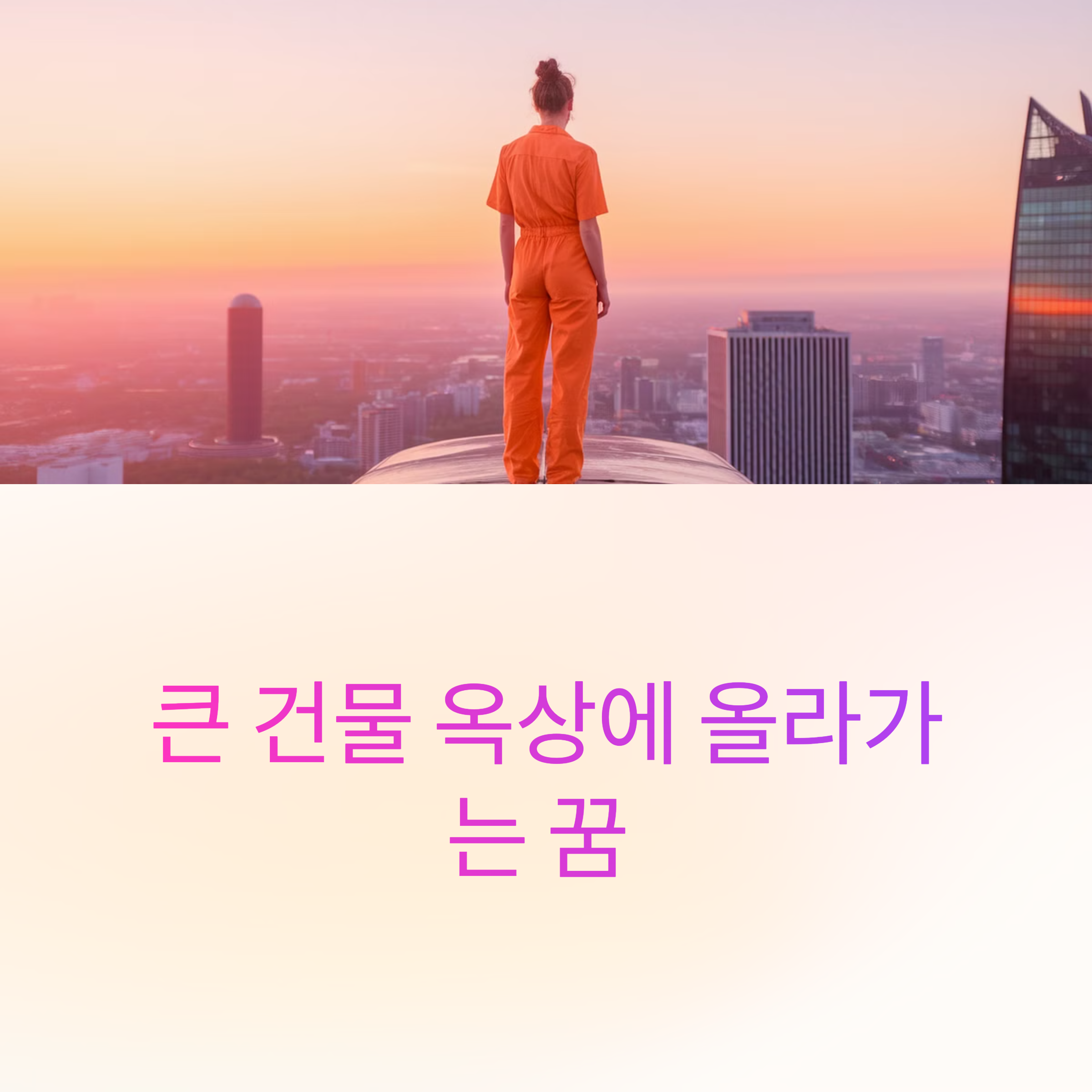 큰 건물 옥상에 올라가는 꿈