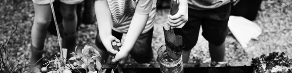 교외 체험학습 신청서 쓰는법