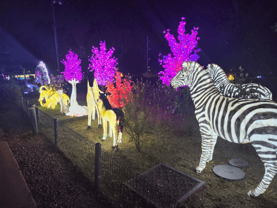 노원-첫번째-2023-크리스마스축제-노원불빛정원-일정-프로그램-장소-안내