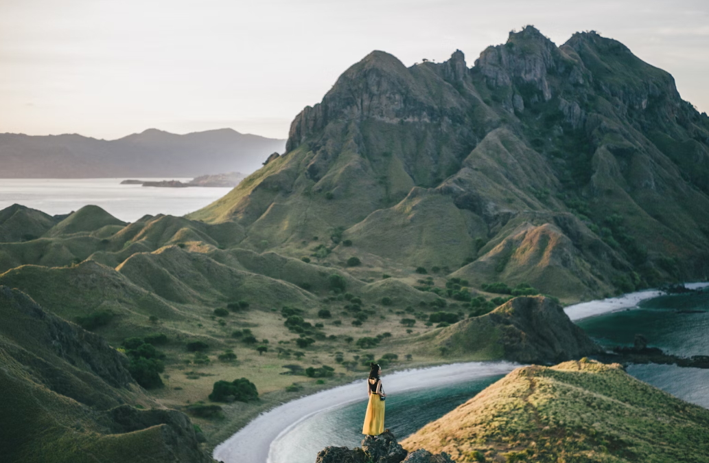 진에어, 노선별 운임,2024 하반기 진MARKET 초특가 할인!