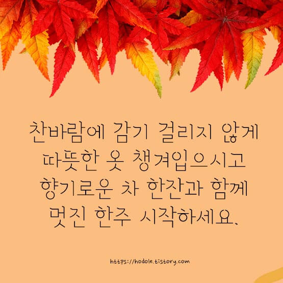 일교차-인사말-이미지