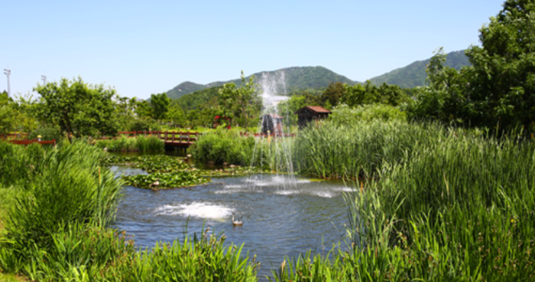 국립과천과학관