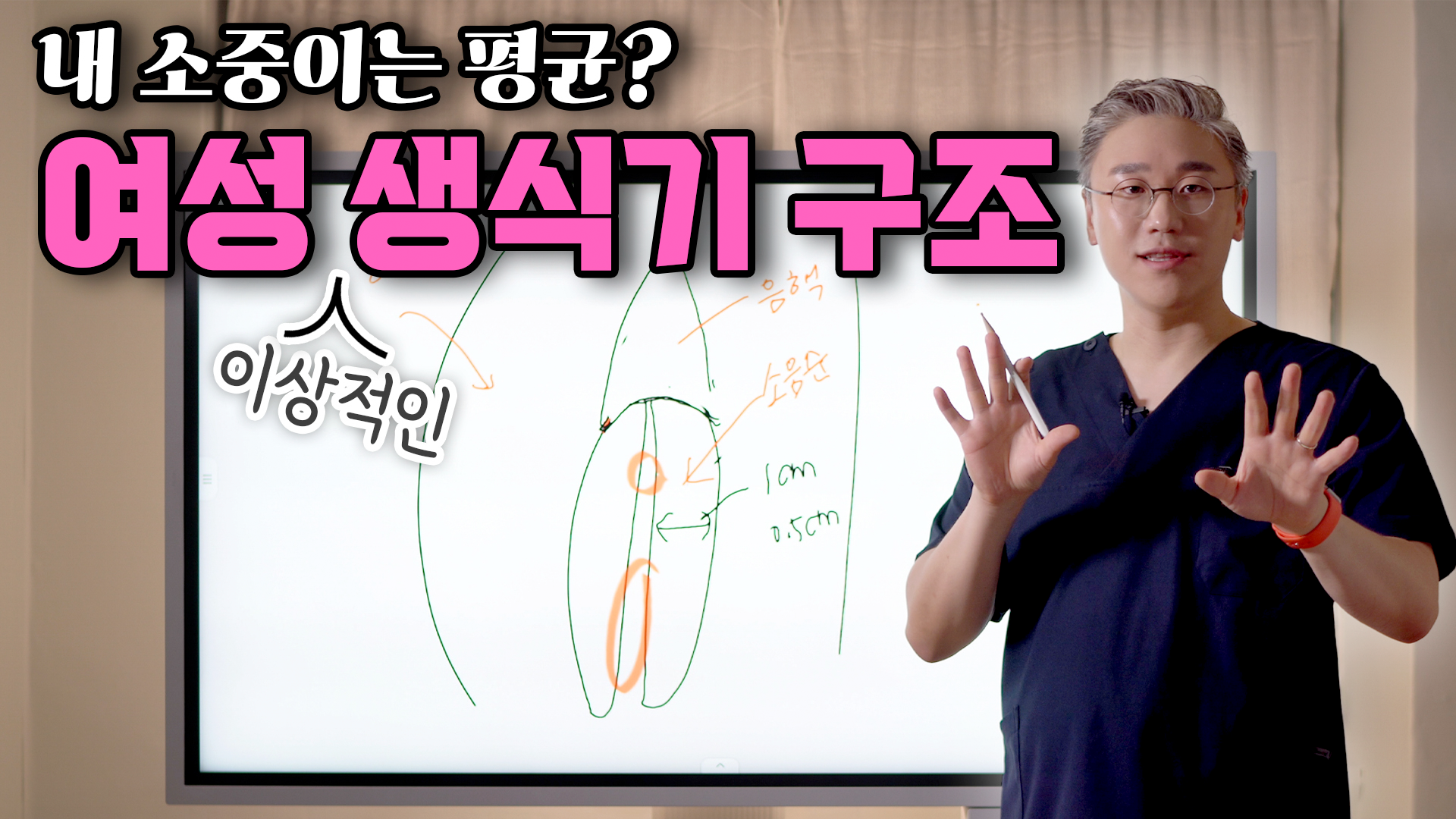 여성 생식기 모양 구조 살펴보기! 내 소중이는 평균?