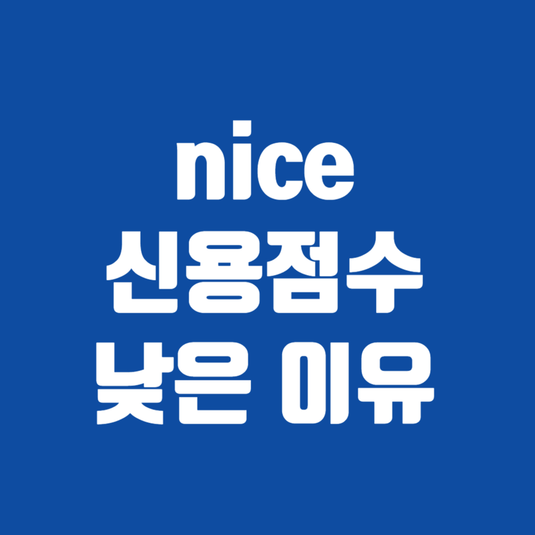nice 신용점수 낮은 이유