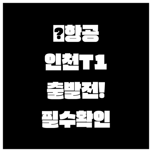 아메리칸항공 인천공항 터미널1 출발 ..