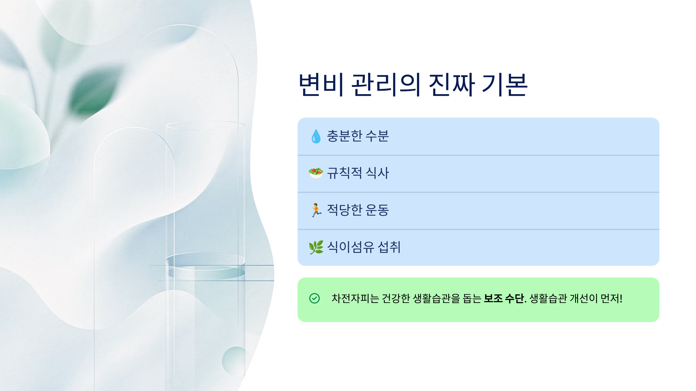 차전자피의 효능 차전자피 먹는법