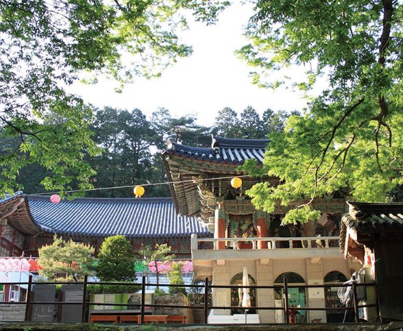 동학사