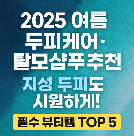 2025 두피케어 탈모 샴푸 추천 관련 사진