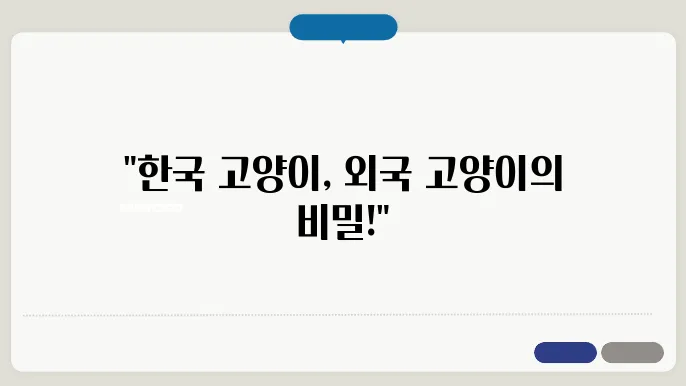 한국 고양이 vs 외국 고양이, 성격 & 특징 비교 분석 6가지 포인트