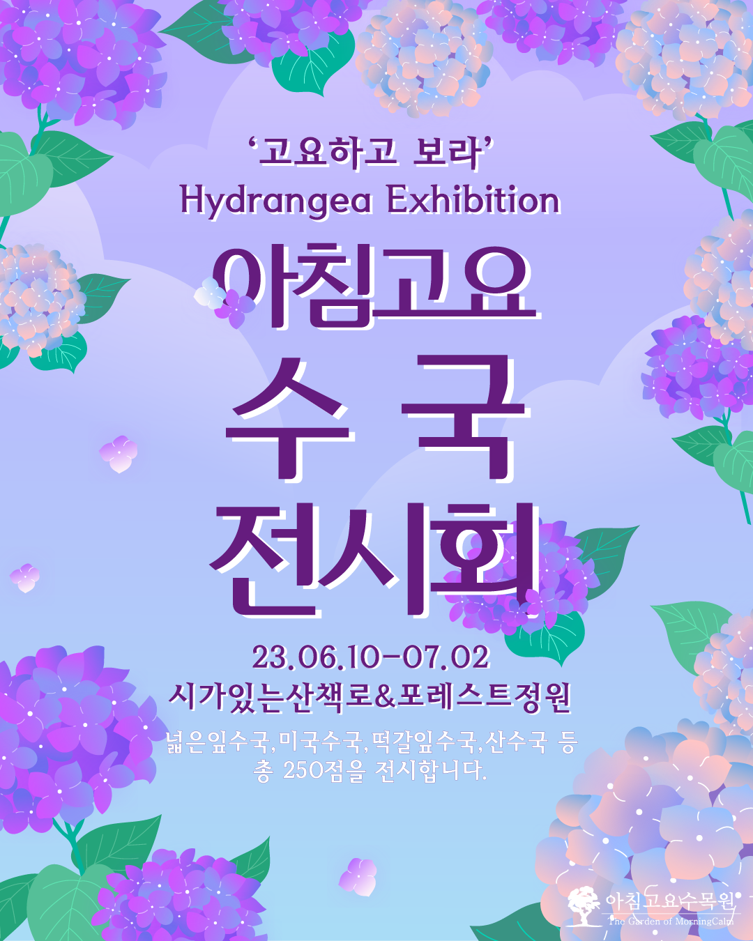 아침고요 수국 전시회 축제