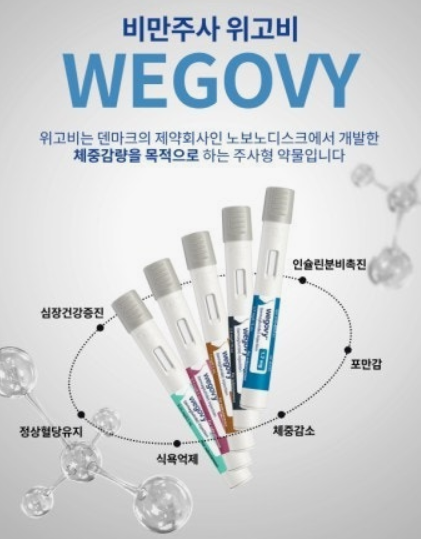 위고비