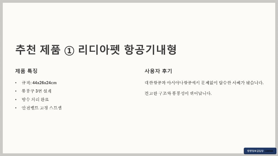 반려견 이동가방 비행기 탑승용 / 리디아펫