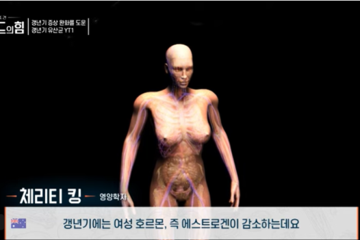 여성 갱년기 유산균 YT1