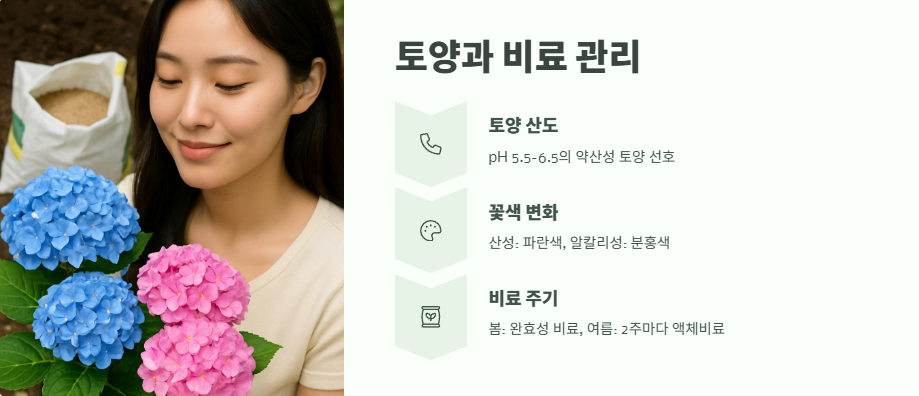 수국 키우는법 초보자도 쉽게 5