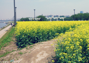 서울 5월 축제 일정