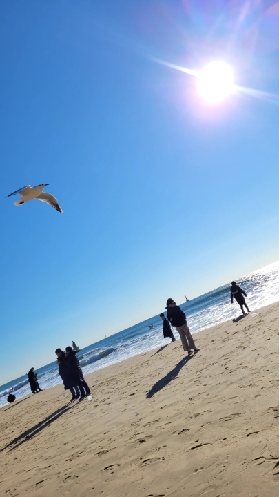 해리단길 브런치 카페 오프온 이후 해운대 해변 갈매기