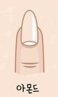 네일 쉐입 아몬드 (Almond)