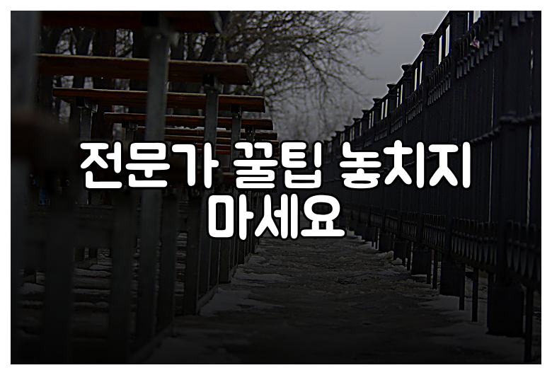 전문가 꿀팁 놓치지 마세요