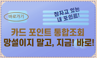 숨은 카드포인트 통합조회