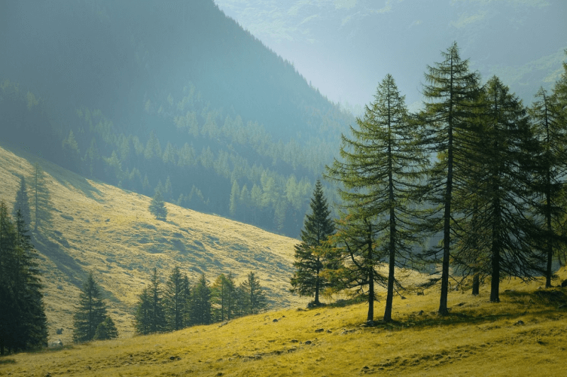 제로 웨이스트 여행