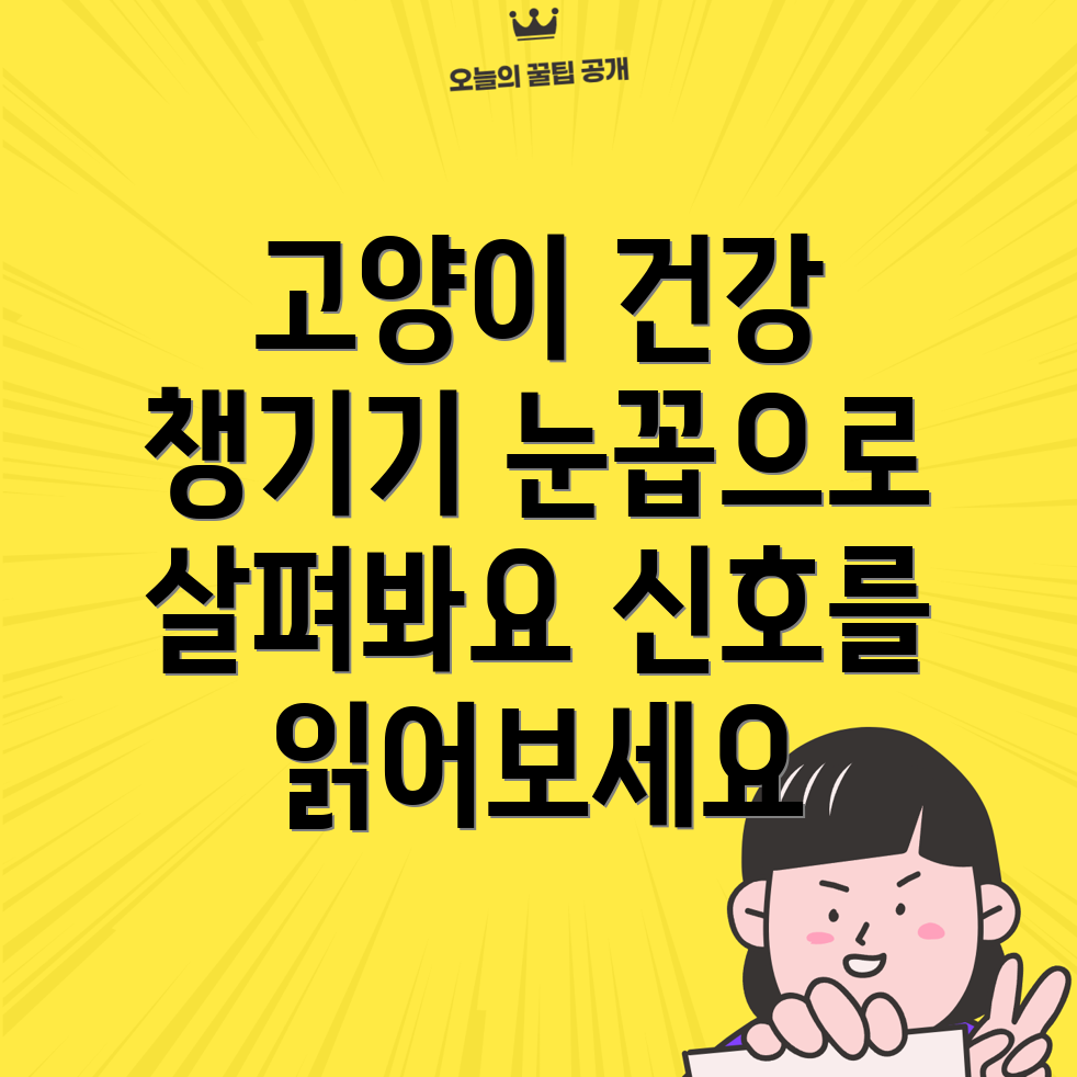 고양이 눈꼽
