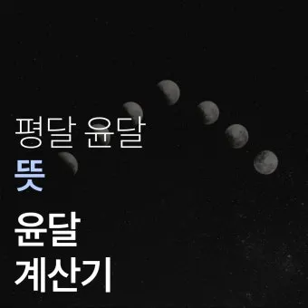 윤달은 몇년마다 오는지 윤년과 차이점 완전 정리_2