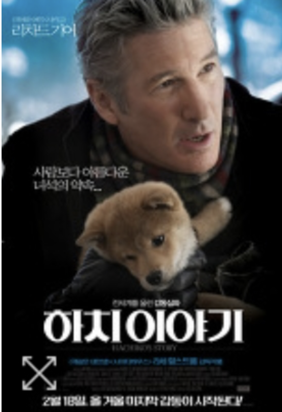 실화를 바탕으로 한 유기견과 인간의 감동 실화 영화 추천에 대한 사진