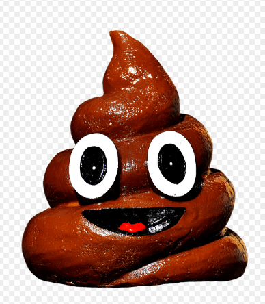 똥을 싸는 (대변을 보는) 꿈해몽 상징 이미지