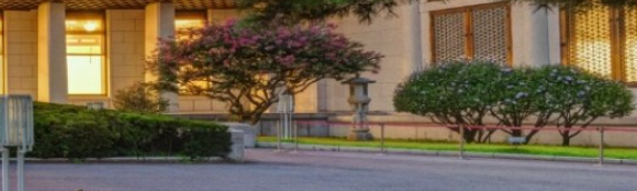 청와대 야간관람신청