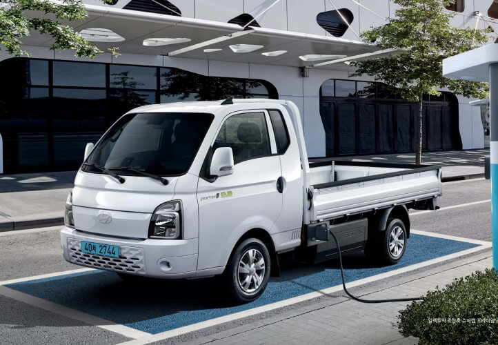 6월 자동차 판매순위 TOP10