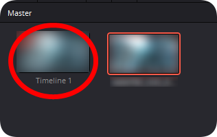Master 영역에 Timeline1이 추가된 화면