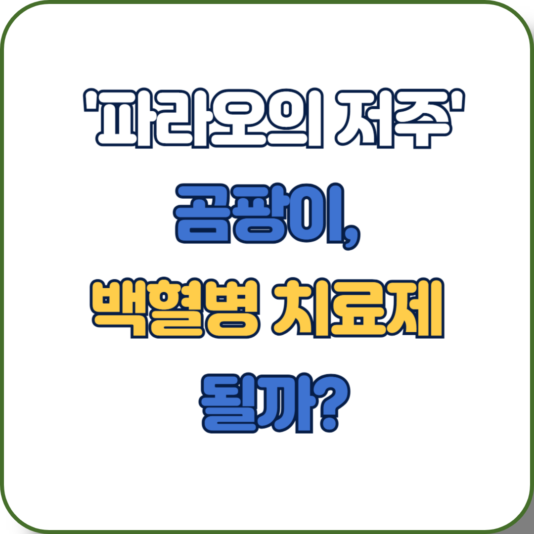 &lsquo;파라오의 저주&rsquo;곰팡이에서 백혈병 신약 후보 물질 발견?[아스페리지마이신]