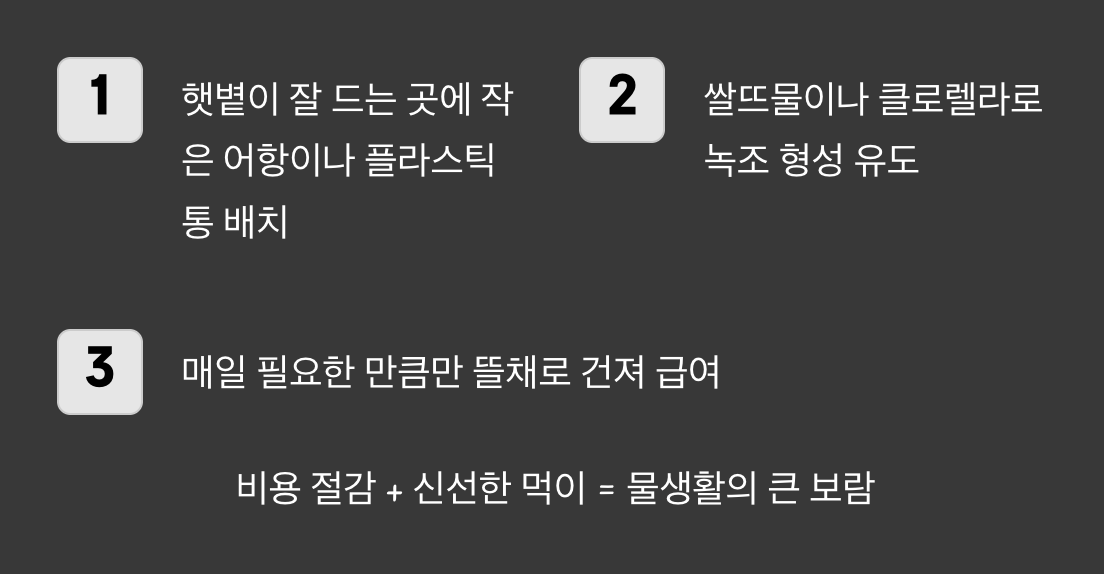 무한 리필, 우리 집에서 직접 키우기
