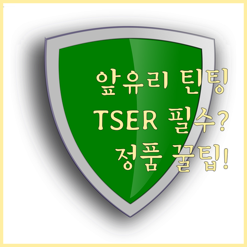 전면 틴팅 정품 인증 절차와 TSER..