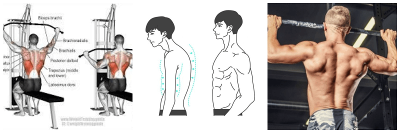 랫풀다운, 거북목, 턱걸이 사진