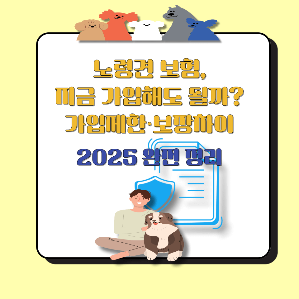 노령견 보험, 지금 가입해도 될까 가입제한·보장차이 2025 완전 정리